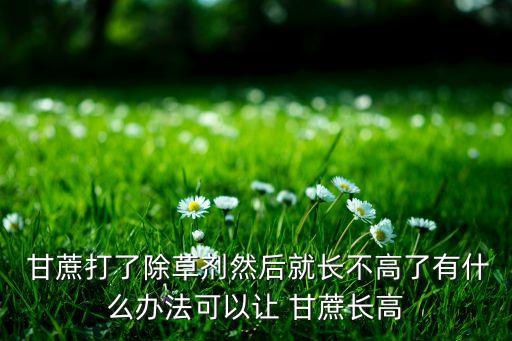 甘蔗打了除草劑然后就長不高了有什么辦法可以讓 甘蔗長高