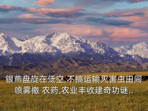 銀燕盤旋在低空,不搞運輸滅害蟲田間噴霧撒 農藥,農業豐收建奇功謎...