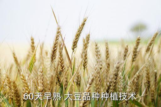 60天早熟 大豆品種種植技術(shù)