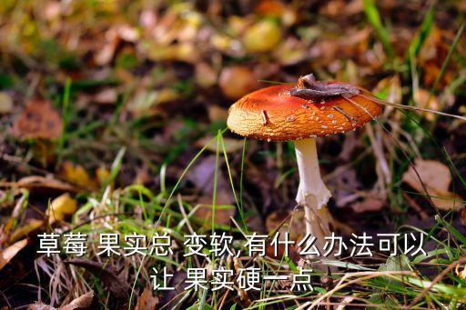 草莓 果實(shí)總 變軟,有什么辦法可以讓 果實(shí)硬一點(diǎn)