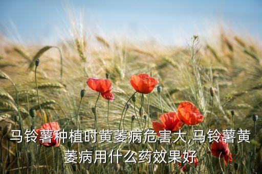 土豆放什么農(nóng)藥好用,土豆打什么農(nóng)藥會更大