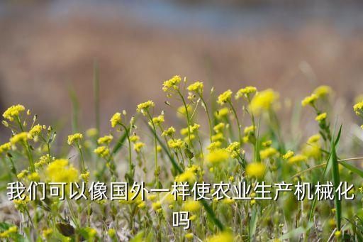 我們可以像國外一樣使農(nóng)業(yè)生產(chǎn)機械化嗎