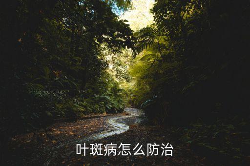 葉斑病怎么防治