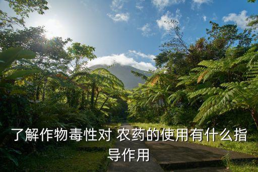 農場動物為什么要打農藥,QQ戀之農場為什么打不開