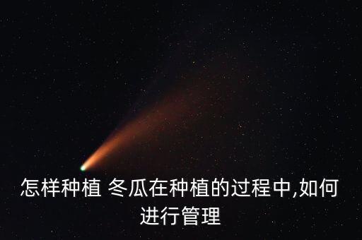 怎樣種植 冬瓜在種植的過程中,如何進行管理