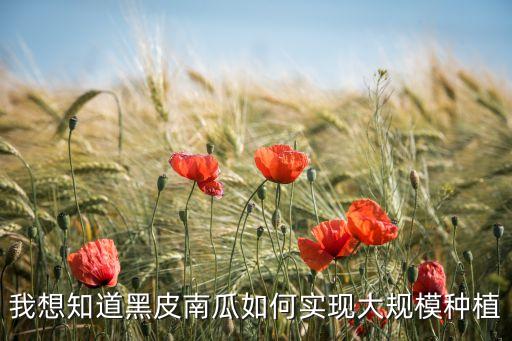 白瓜子打什么農藥,很大的那種白瓜子叫什么