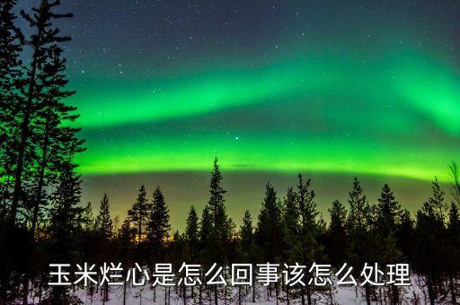 玉米爛心是怎么回事該怎么處理