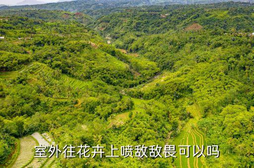 室外往花卉上噴敵敵畏可以嗎