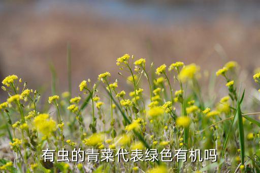 波爾多農(nóng)藥治什么蟲,農(nóng)藥高效氯氰菊酯治什么蟲