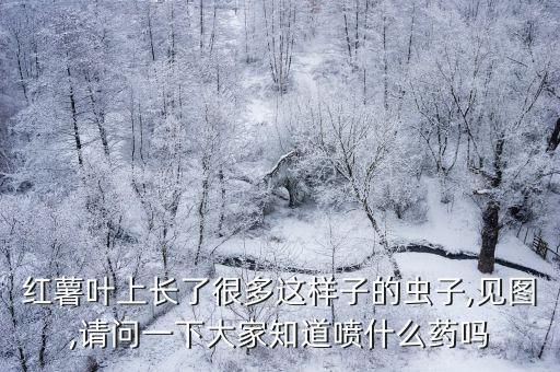 什么農(nóng)藥噴番薯蟲好用些,小蔥蟲噴什么農(nóng)藥