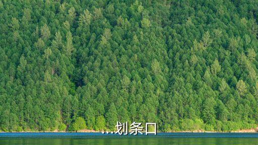 農藥為什么會被植物吸收,植物對農藥的吸收有哪些特點