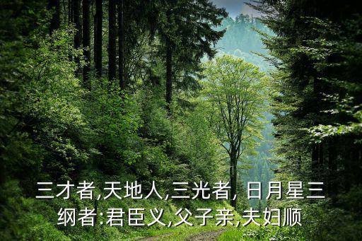 三才者,天地人,三光者, 日月星三綱者:君臣義,父子親,夫婦順