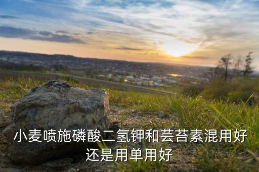 小麥水稻用什么農藥,小麥打農藥什么時間打效果好