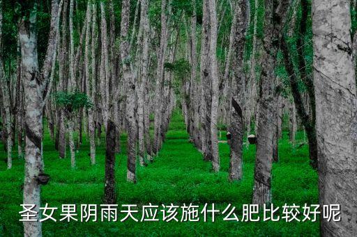 圣女果雨過(guò)打什么農(nóng)藥