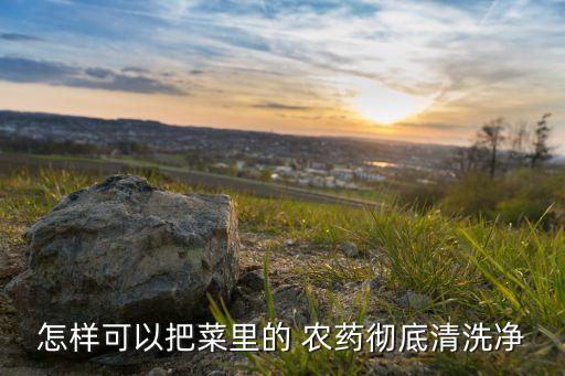 菜用什么藥去除農藥,用小蘇打洗菜可以去除農藥嗎