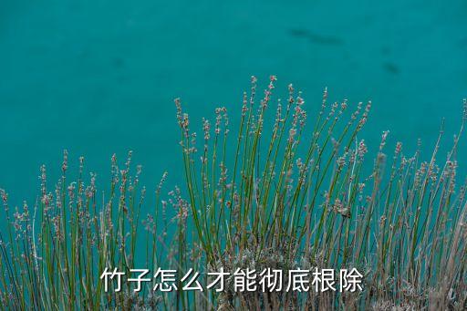 毛竹用什么農(nóng)藥處理,什么農(nóng)藥能把毛竹致死