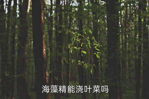 海藻精能澆葉菜嗎