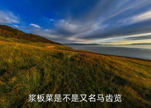 什么農藥治麻繩菜