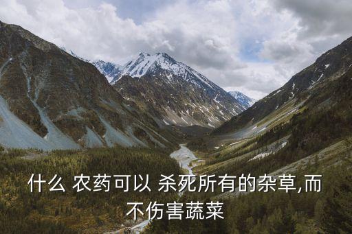 什么農藥能殺死茅草根部,白茅草用什么辦法殺死