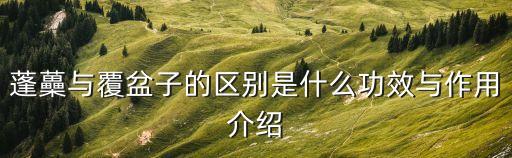 蓬蘽與覆盆子的區(qū)別是什么功效與作用介紹