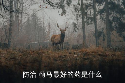 辣椒薊馬爬用什么農(nóng)藥,薊馬用什么農(nóng)藥好