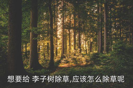 李子樹什么農(nóng)藥最好,給李子樹打農(nóng)藥什么時(shí)間打最好