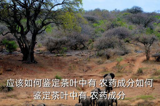 茶制品是什么藥農藥,農藥3911是什么藥