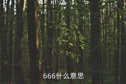  666什么意思