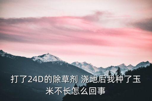 打了24D的除草劑 澆地后我種了玉米不長(zhǎng)怎么回事