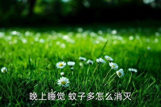 晚上睡覺(jué) 蚊子多怎么消滅