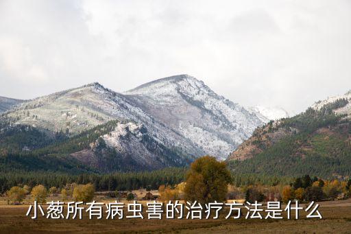 小蔥所有病蟲害的治療方法是什么