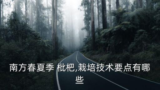 南方春夏季 枇杷,栽培技術(shù)要點有哪些