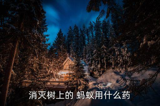 消滅樹上的 螞蟻用什么藥