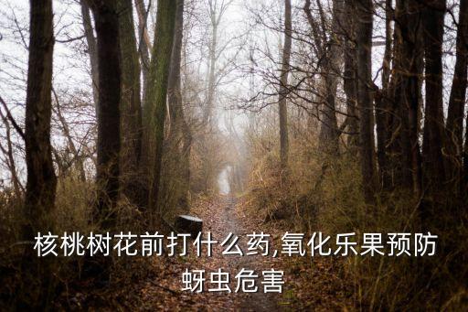 核桃樹秋天打什么農藥,什么農藥能殺死核桃樹