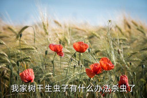 我家樹干生蟲子有什么辦法殺蟲了