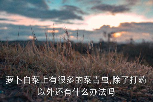 蘿卜白菜上有很多的菜青蟲,除了打藥以外還有什么辦法嗎