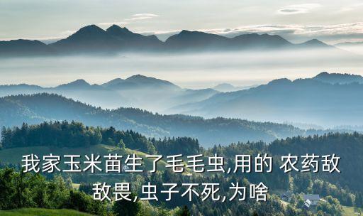 我家玉米苗生了毛毛蟲,用的 農藥敵敵畏,蟲子不死,為啥