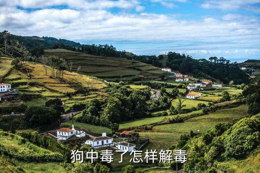 狗吃農藥了用什么藥救,誤吃農藥什么藥可以解毒