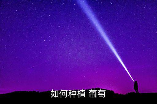 葡萄農(nóng)藥pbo是什么,PBO是什么農(nóng)藥