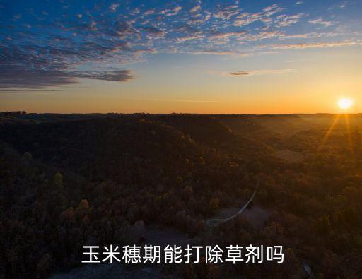 玉米抽穗打什么農(nóng)藥好,玉米開花抽穗期可以打農(nóng)藥嗎