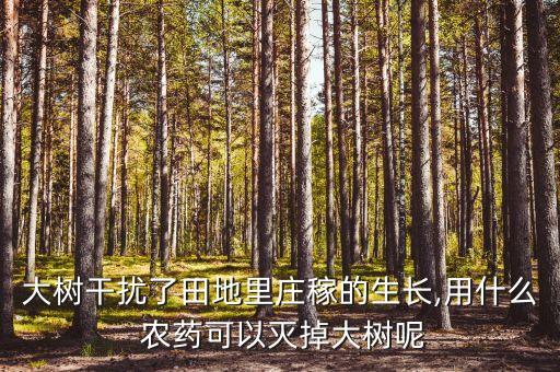山里種植什么農藥,種植香蕉需要什么農藥