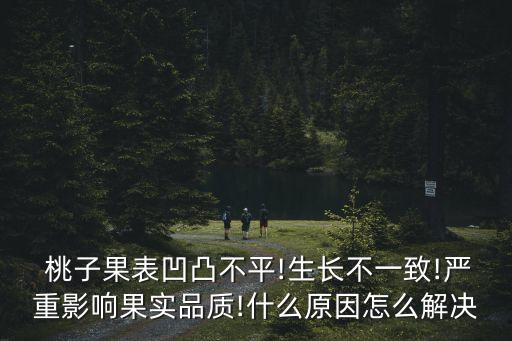  桃子果表凹凸不平!生長不一致!嚴(yán)重影響果實(shí)品質(zhì)!什么原因怎么解決