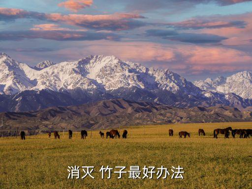 打竹子的農藥用什么藥,有沒有什么農藥可以殺死竹子