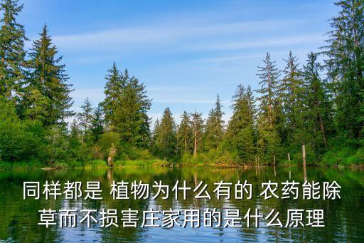 為什么打農藥植物不會死,蔬菜為什么要打農藥