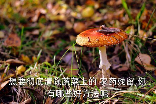 ,菜花上打什么殺農藥好