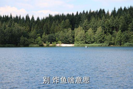 農藥炸魚是什么意思,男女之間說炸魚是什么意思