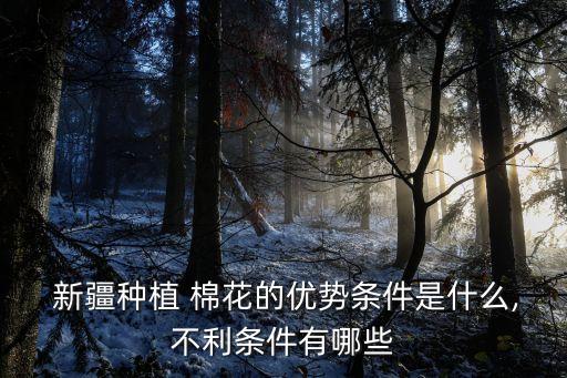 新疆種植 棉花的優(yōu)勢條件是什么,不利條件有哪些