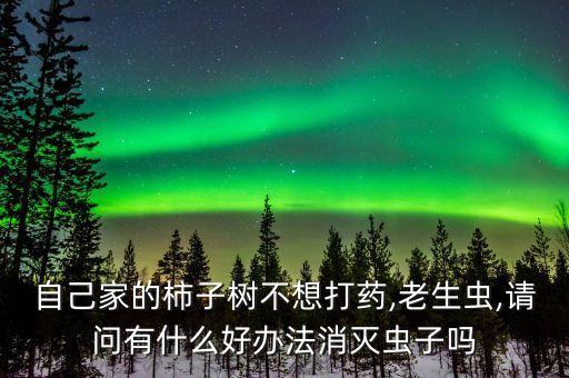 自己家的柿子樹不想打藥,老生蟲,請問有什么好辦法消滅蟲子嗎