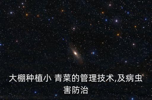 小青菜拌種用什么農藥,什么農藥拌種最好