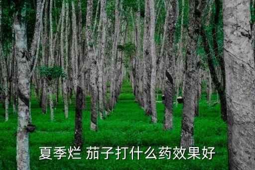 茄子是用什么農(nóng)藥打的,什么農(nóng)藥對茄子有害